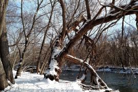 Winter river landscape at Houlton Farm