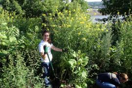 Volunteers working at Mounds Park