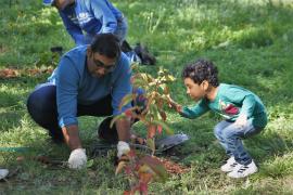 Volunteers of all ages have helped to restore the forest on Nicollet Island. Here, two plant a tree together.