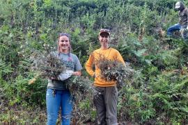 Volunteers with knapweed at last year's pull