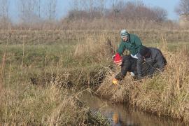 Planting  along the river banks