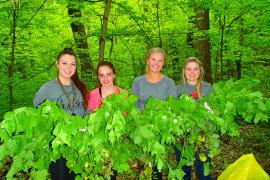 Volunteers holding garlic mustard at the Sand Flats