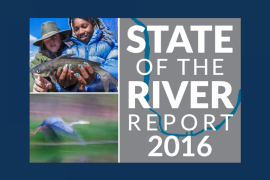 State of the River Report 2016