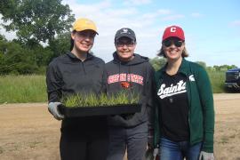 Three volunteers with a tray of plants ready to go in at South Creek from our June planting