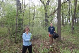 Two volunteers pull garlic mustard