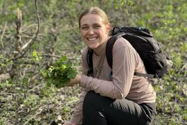 Volunteer pulls garlic mustard at Hastings Sand Coulee SNA