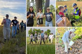 Volunteer and youth clean up, water plants and save seeds