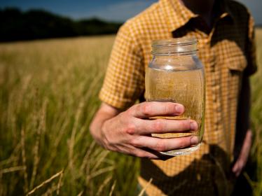 Person holds a mason jar of clear water in a field of Kernza
