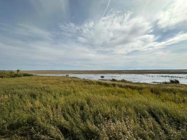 Minnesota wetland