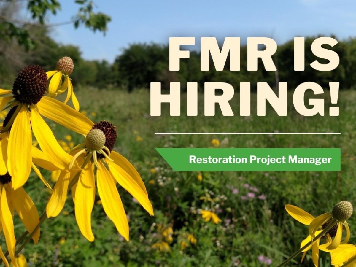 Coneflowers + text: FMR is hiring! Restoration project manager