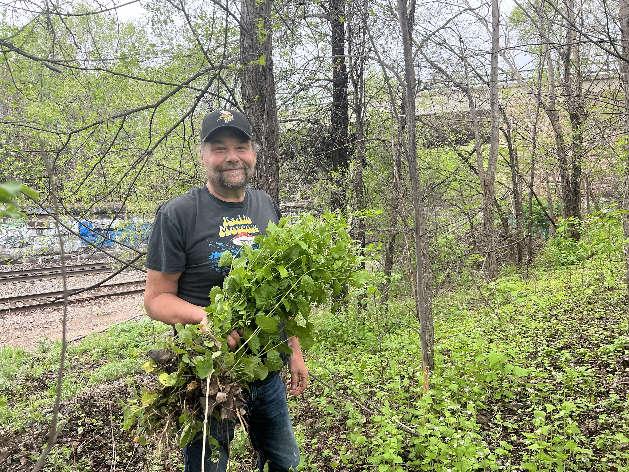 Volunteer holds garlic mustard