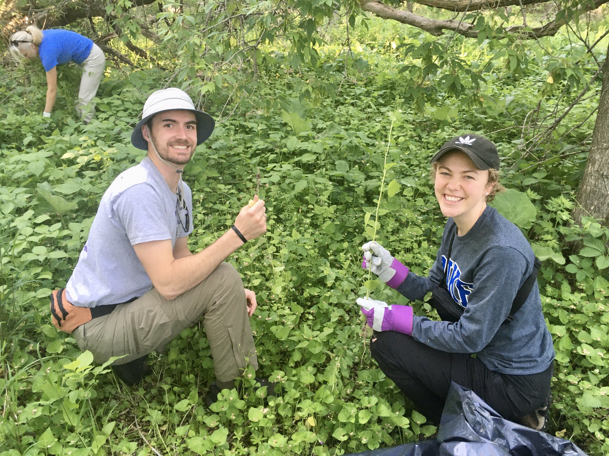 Volunteers pull garlic mustard at Vermillion River Linear Park