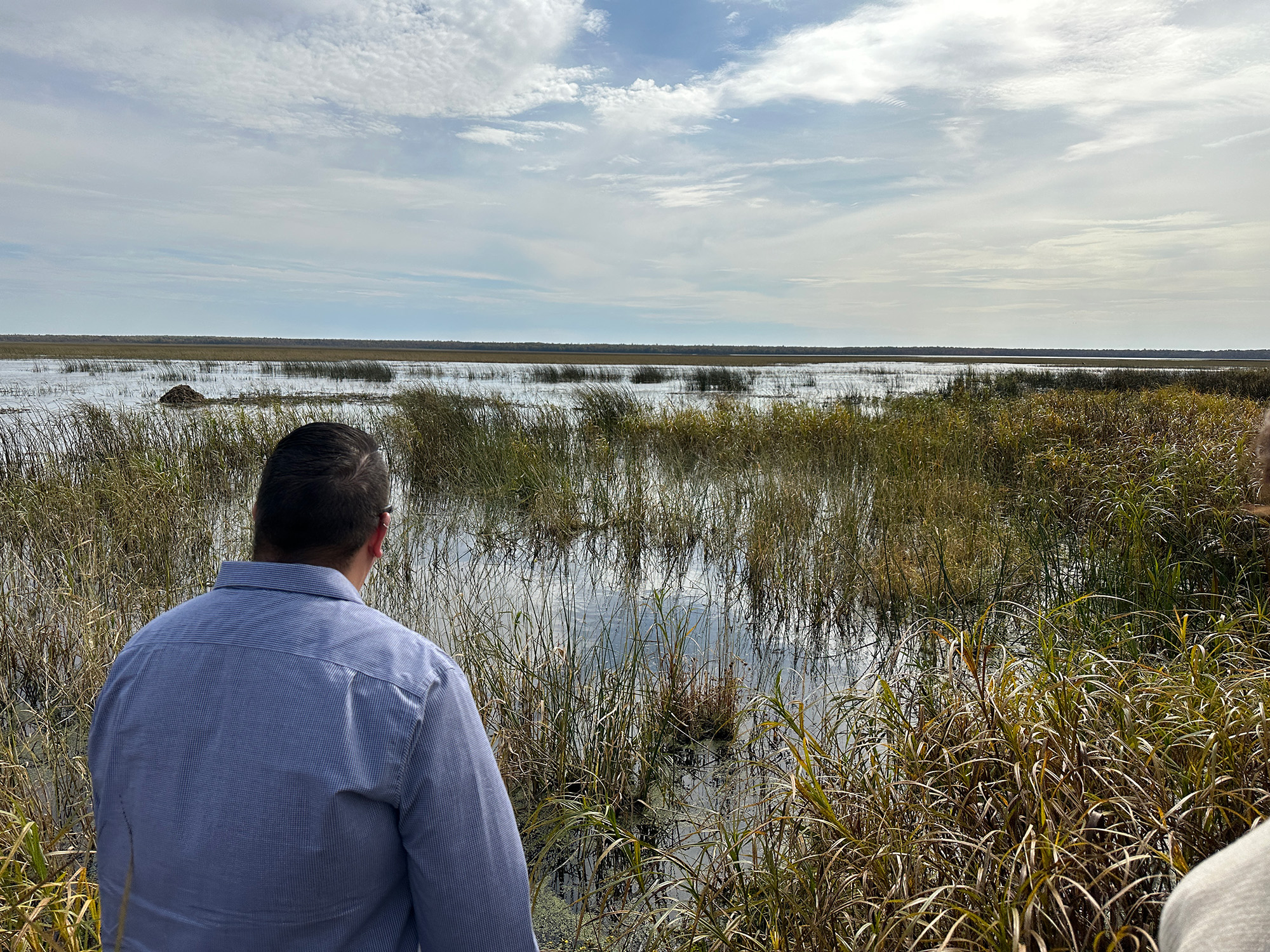 People look out over wetland