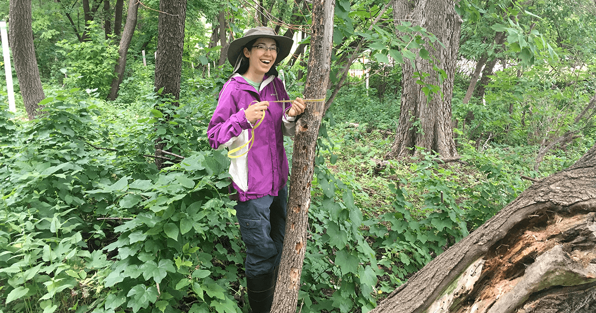 Allie measures a tree trunk