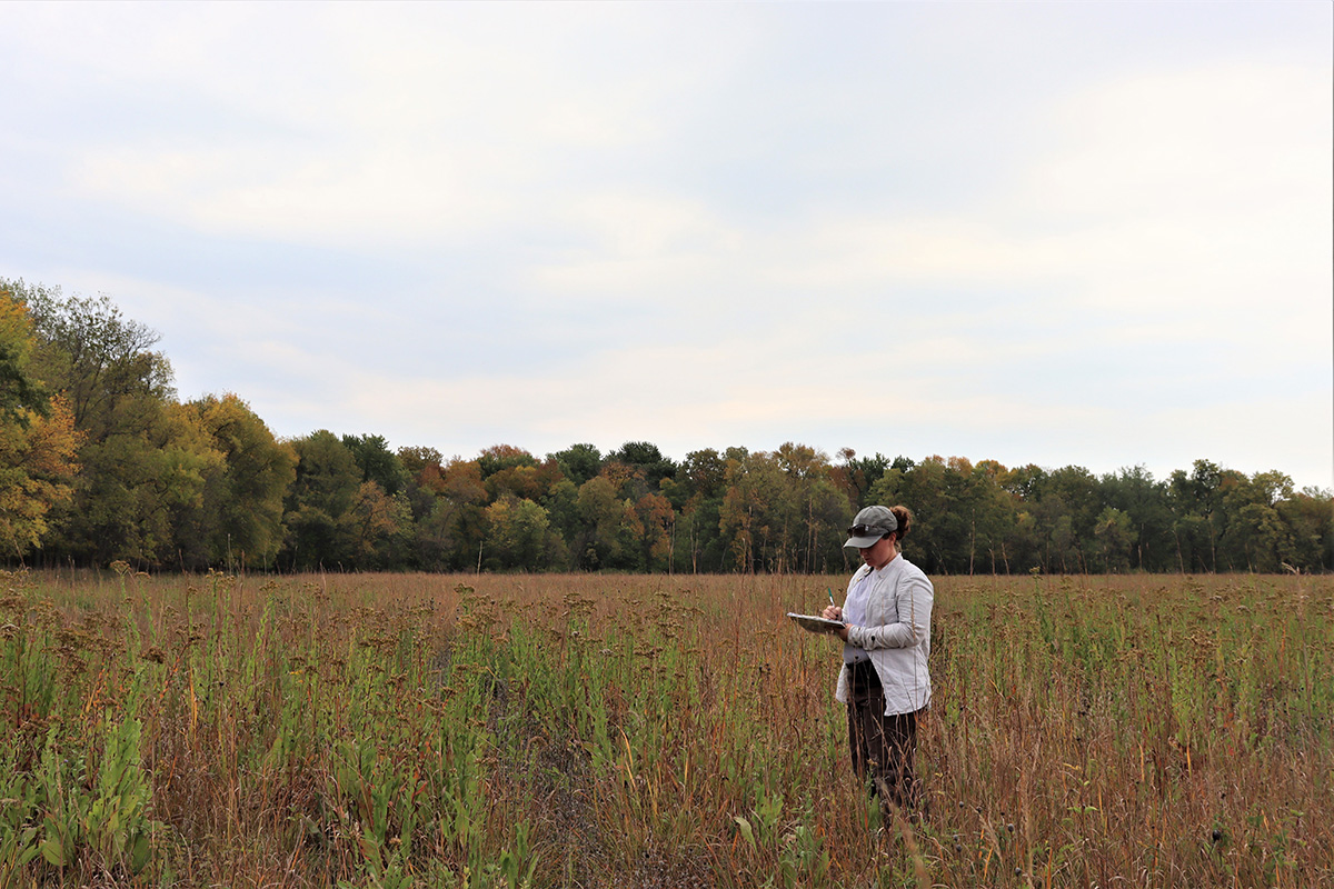 Kiley in the field