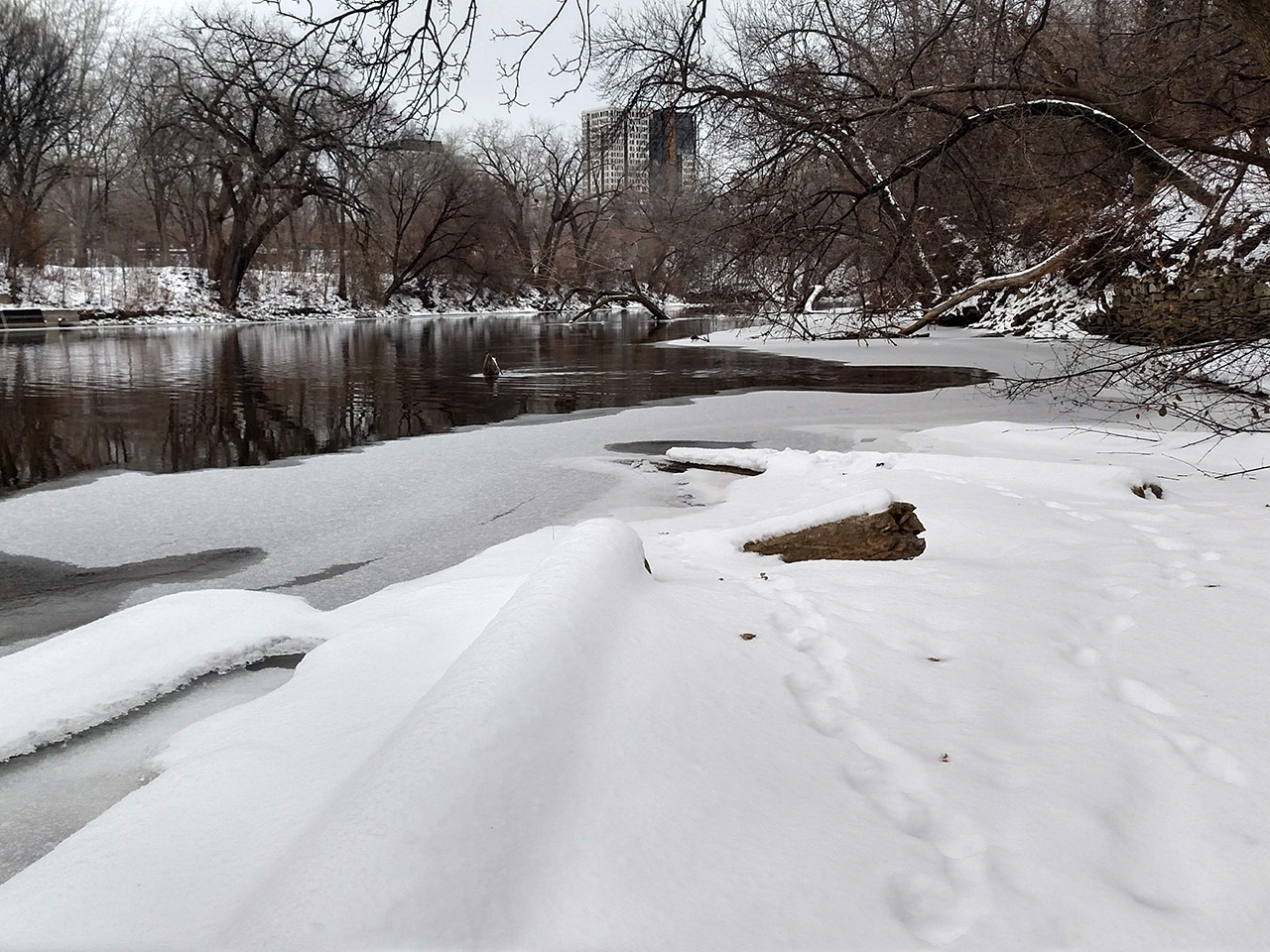 Nicollet Island in snow